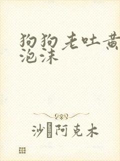 狗狗老吐黄水带泡沫