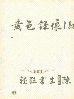 黄色录像1级片.封面