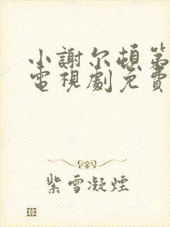 小谢尔顿第一季电视剧免费观看