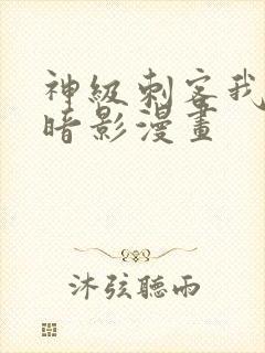 神级刺客我即是暗影漫画