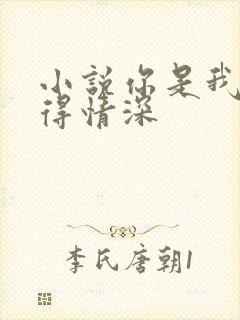 小说你是我的难得情深