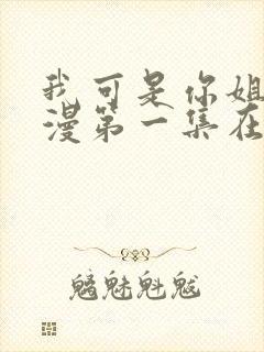 我可是你姐姐动漫第一集在线观看