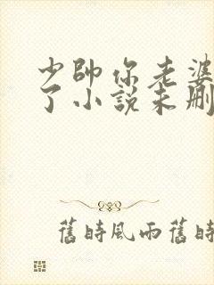 少帅你老婆又跑了小说未删减版