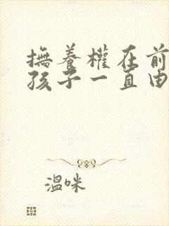 抚养权在前夫那孩子一直由我抚养