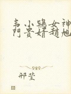 韦小鸨女神的上门贵婿赵旭