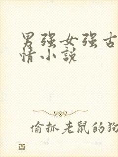男强女强古代言情小说