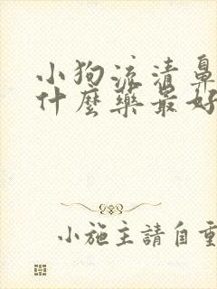 小狗流清鼻涕吃什么药最好呢