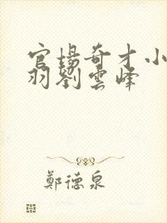 官场奇才小说陆羽刘云峰