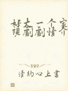 好大一个家 电视剧剧情介绍