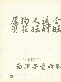 属狗人适合养什么花旺财旺运