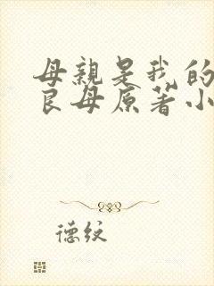 母亲是我的贤妻良母原著小说阅读