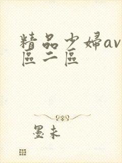 精品少妇av一区二区