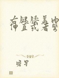 右腿膝盖内侧疼伸直或者弯曲疼吃什么药