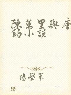 陈万里与唐嫣然的小说