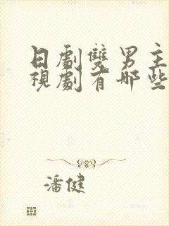 日剧双男主的电视剧有哪些封面