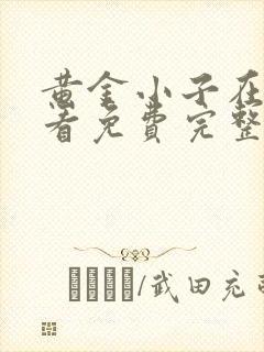 黄金小子在线观看免费完整版路漫漫 策驰封面