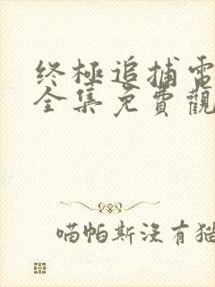 终极追捕电视剧全集免费观看