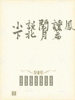小说阅读凤逆天下北月篇