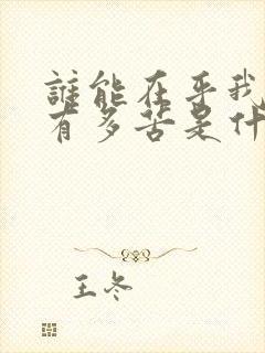 谁能在乎我心里有多苦是什么歌名