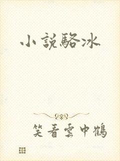 小说骆冰