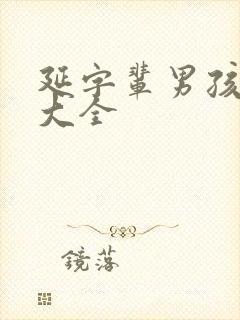 延字辈男孩取名大全