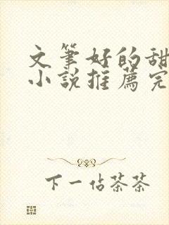 文笔好的甜宠文小说推荐完结