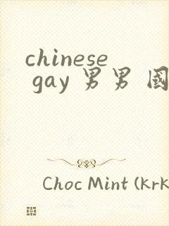 chinese gay 男男 国产