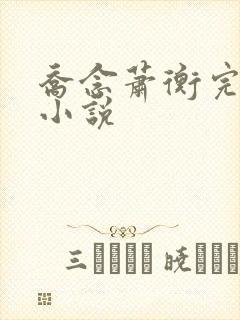 乔念萧衡完结版小说封面