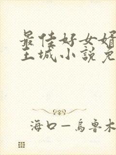 最佳好女婿赵倩王城小说免费阅读封面