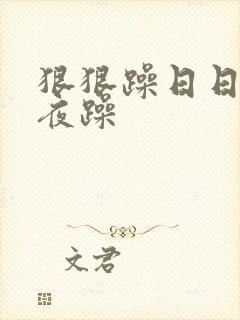 狠狠躁日日躁夜夜躁