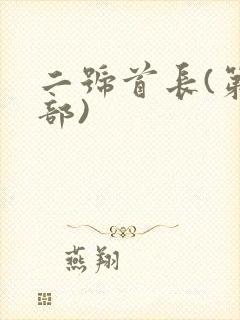 二号首长(第四部)