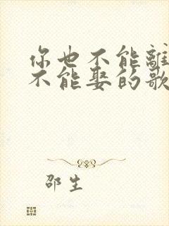 你也不能离我也不能娶的歌词
