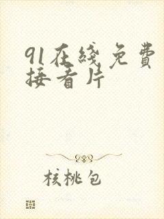 91在线免费直接看片