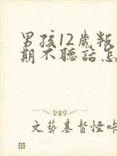 男孩12岁叛逆期不听话怎么办