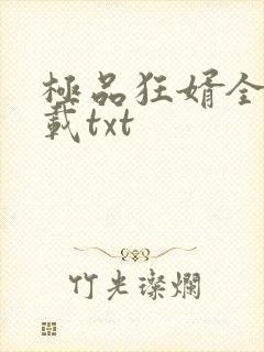 极品狂婿全本下载txt