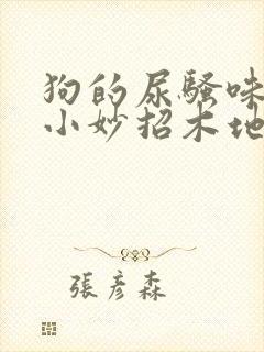 狗的尿骚味去除小妙招木地板