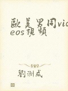 欧美男同videos视频