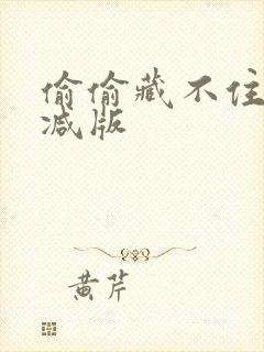 偷偷藏不住无删减版