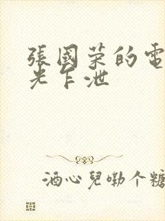 张国荣的电影春光乍泄