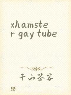 xhamster gay tube封面