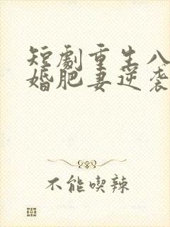 短剧重生八零闪婚肥妻逆袭了免费观看封面