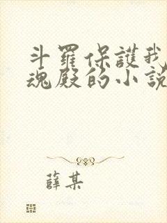 斗罗保护我方武魂殿的小说