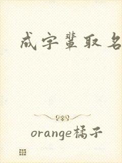 成字辈取名封面