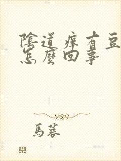 阴道痒有豆腐渣怎么回事