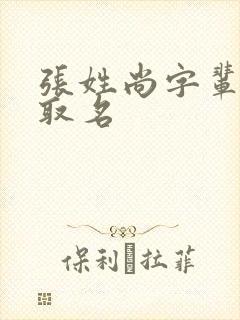 张姓尚字辈男孩取名