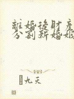 离婚后财产如何分割新婚姻法