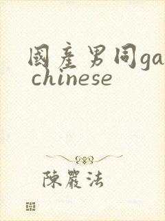 国产男同gay chinese封面