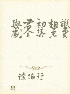 与君初相识电视剧全集免费观看