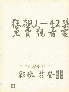 狂飙1—42集免费观看电视剧封面