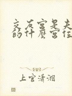 交友宫是夫妻宫的什么宫位